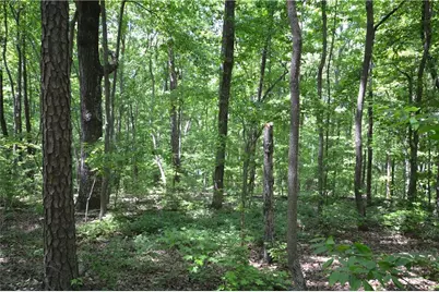 5960 Georgia Highway 120, Buchanan, GA 30113 - Photo 36