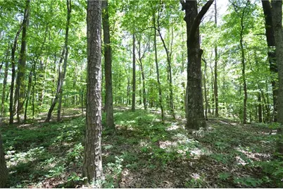 5960 Georgia Highway 120, Buchanan, GA 30113 - Photo 34