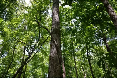 5960 Georgia Highway 120, Buchanan, GA 30113 - Photo 16