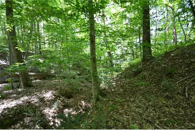 5960 Georgia Highway 120, Buchanan, GA 30113 - Photo 22