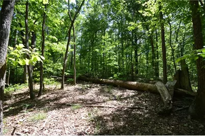 5960 Georgia Highway 120, Buchanan, GA 30113 - Photo 32