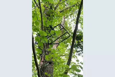 1224 Texas Valley Road NW, Rome, GA 30165 - Photo 68