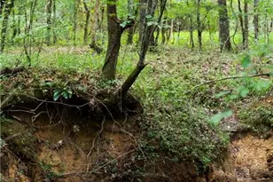 1224 Texas Valley Rd NW, Rome, GA 30165 - Photo 72