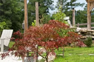 1224 Texas Valley Rd NW, Rome, GA 30165 - Photo 62