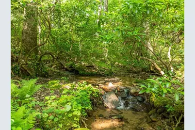 1298 Cold Stream Trail, Jasper, GA 30143 - Photo 12