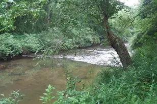 436 Applewood Ln, Dahlonega, GA 30533 - Photo 24