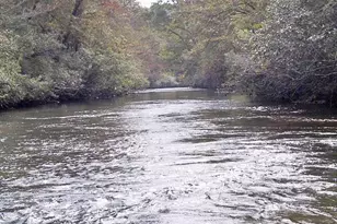 436 Applewood Ln, Dahlonega, GA 30533 - Photo 4