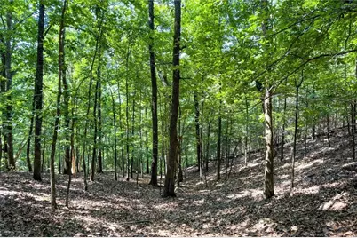 154 Ponderosa Lane, Waleska, GA 30183 - Photo 14