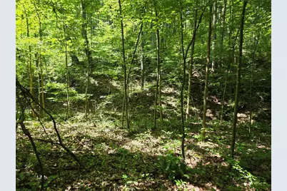 0 Byers Drive, Ball Ground, GA 30107 - Photo 4