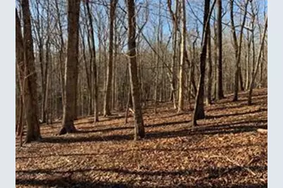 0 Oak Ridge Court, Jasper, GA 30143 - Photo 4