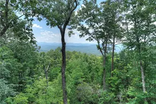 768 Cherokee Cir, Ellijay, GA 30540 - Photo 2