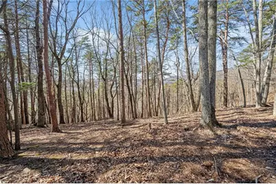 166 Ponderosa Lane, Waleska, GA 30183 - Photo 10