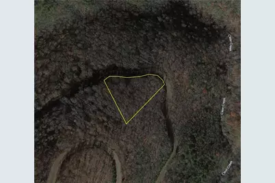 249 Andes Ridge, Ellijay, GA 30536 - Photo 4