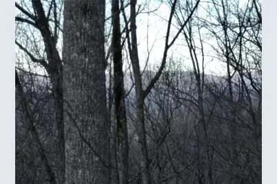 279 Andes Ridge, Ellijay, GA 30536 - Photo 16