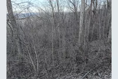 279 Andes Ridge, Ellijay, GA 30536 - Photo 32