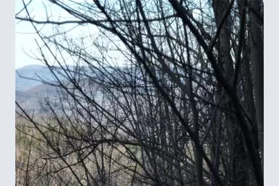 279 Andes Ridge, Ellijay, GA 30536 - Photo 8