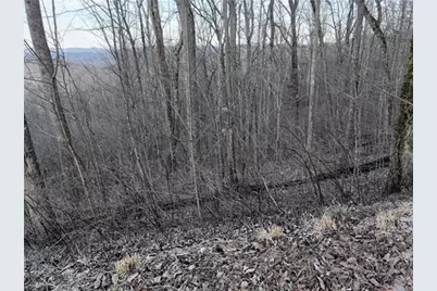 280 Andes Ridge, Ellijay, GA 30536 - Photo 48