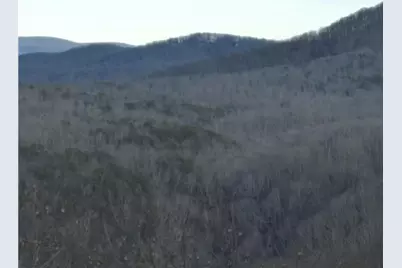 280 Andes Ridge, Ellijay, GA 30536 - Photo 40