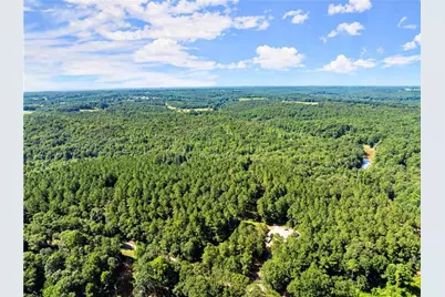 352 Jim Grizzle Road, Royston, GA 30662 - Photo 50