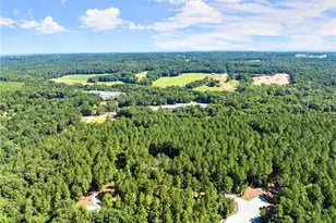 352 Jim Grizzle Rd, Royston, GA 30662 - Photo 44