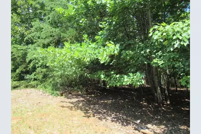 13 Hallmark Place, Dahlonega, GA 30533 - Photo 14