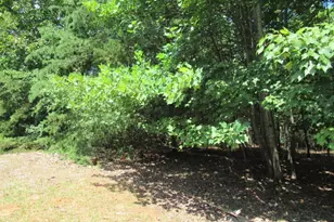 13 Hallmark Pl, Dahlonega, GA 30533 - Photo 14