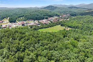 17 Dach Bruecke Gasse, Helen, GA 30545 - Photo 62