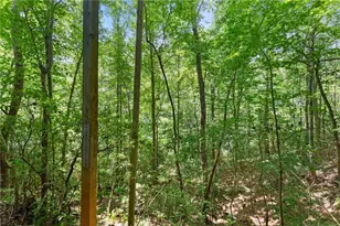17 Dach Bruecke Gasse, Helen, GA 30545 - Photo 38