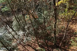 17 Dach Bruecke Gasse, Helen, GA 30545 - Photo 78