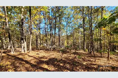 0 Mac Johnson Road NW, Cartersville, GA 30121 - Photo 6