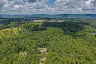 400 Racehorse Dr, Summerville, GA 30747 - Photo 4