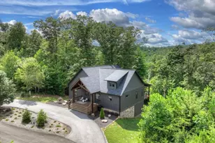 141 Long View Lane, Blue Ridge, GA 30513 - Photo 58