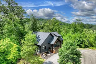 141 Long View Lane, Blue Ridge, GA 30513 - Photo 56