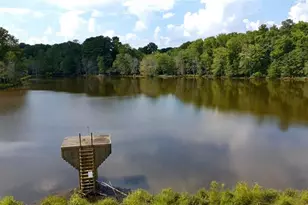 3385 Wellbrook Dr, Loganville, GA 30052 - Photo 20