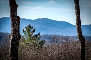 67 Antler Way, Morganton, GA 30560 - Photo 12