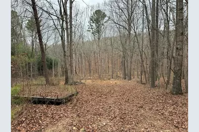 0 Buttrum, Adairsville, GA 30103 - Photo 4