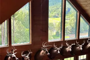 312 White Pine Trail, Suches, GA 30572 - Photo 14