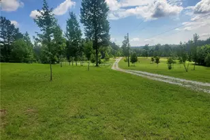 1401 Rainey Rd, Temple, GA 30179 - Photo 58