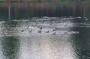 1401 Rainey Rd, Temple, GA 30179 - Photo 18