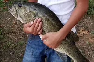 1401 Rainey Rd, Temple, GA 30179 - Photo 22