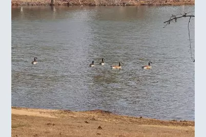 1401 Rainey Road, Temple, GA 30179 - Photo 14