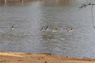 1401 Rainey Rd, Temple, GA 30179 - Photo 14