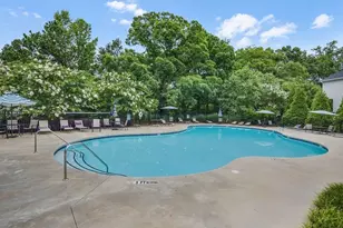 207 Wild Rose Cir, Holly Springs, GA 30115 - Photo 42