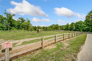 771 Little Hendricks Mountain Rd, Jasper, GA 30143 - Photo 44