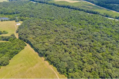 00 Hall Carson Road, Carnesville, GA 30521 - Photo 24