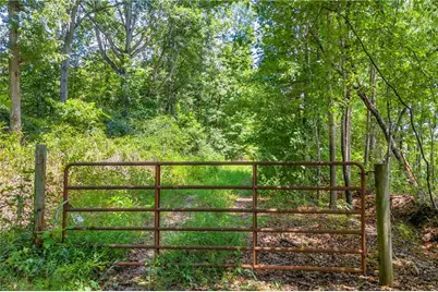 00 Hall Carson Road, Carnesville, GA 30521 - Photo 14