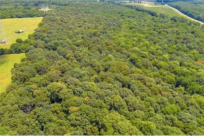 00 Hall Carson Road, Carnesville, GA 30521 - Photo 20