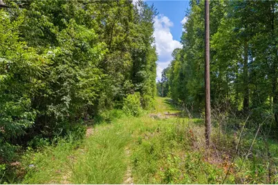 00 Hall Carson Road, Carnesville, GA 30521 - Photo 16