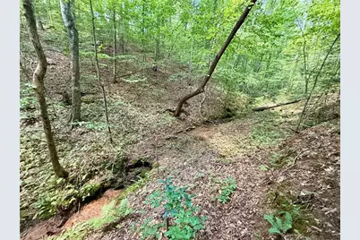 79 River Overlook Lane S, Ellijay, GA 30540 - Photo 10