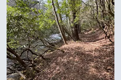 0 Horseshoe Bend Road, Dahlonega, GA 30533 - Photo 6